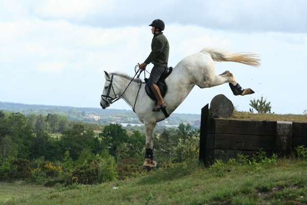 File:Leaping off the step into thin air.jpg