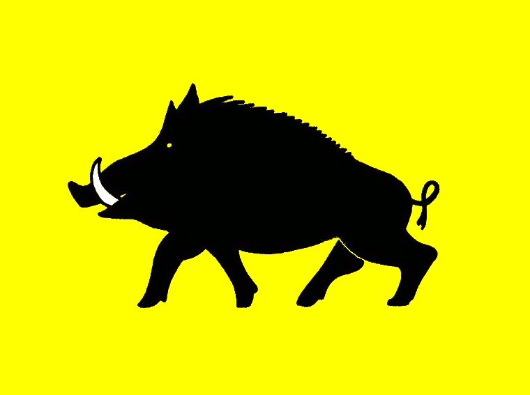 File:Evergemvlag.gif