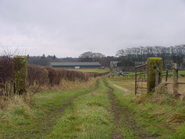 File:Track to Harbybrow - geograph.org.uk - 112689.jpg