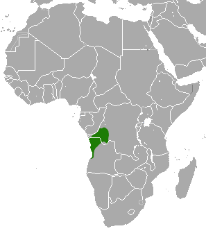 File:Angolan Talapoin area.png