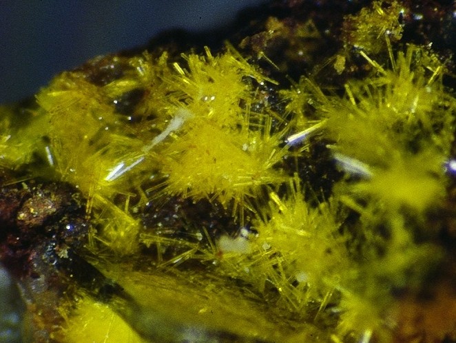 File:Yingjiangite - Tirpersdorf, Oelsnitz, Vogtland, Sachsen, Deutschland (J.Groebner).jpg