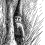 Thumbnail for version as of 14:35, 9 September 2006