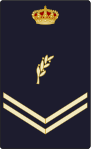 Thumbnail for version as of 16:21, 13 April 2014