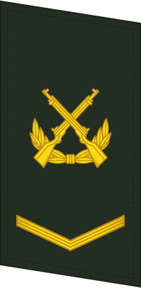 File:PLAGF-Collar-0703-CPL.png
