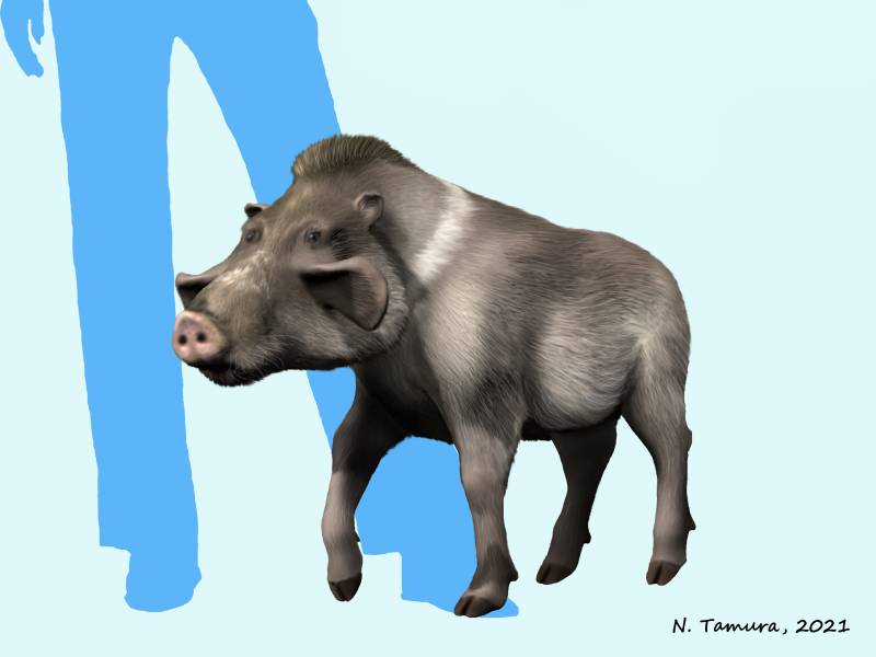 File:Skinnerhyus NT.jpg