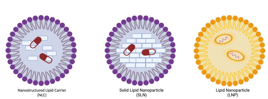 File:SLN, NLC, LNP Structure.jpg