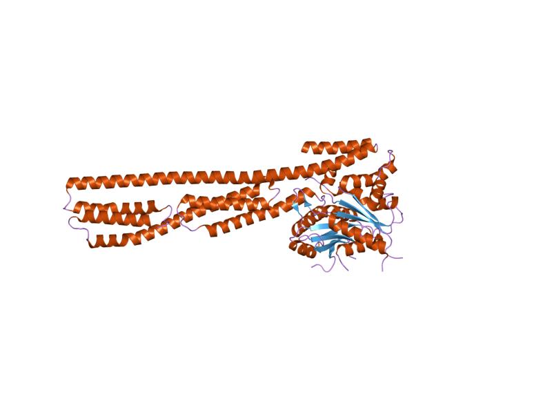 File:PDB 1dg3 EBI.jpg