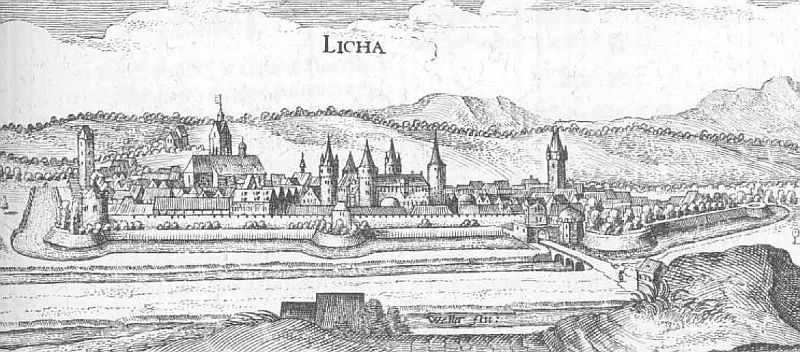 File:Lich De Merian Hassiae.jpg