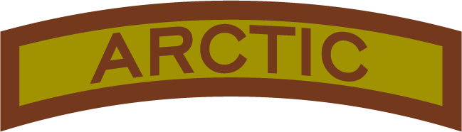 File:US Air Force Arctic Tab.png