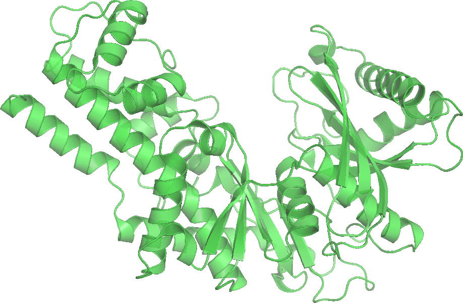 File:Hexokinase B 1IG8 wpmp.png