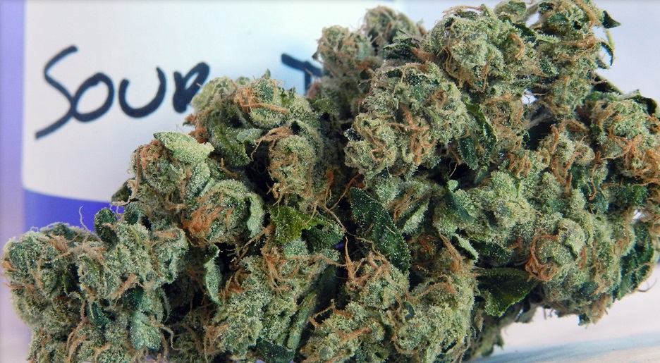 File:Sour Diesel Strain.jpg