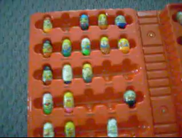 File:A really high quality photo of someones Mighty beanz collection from 2011.png