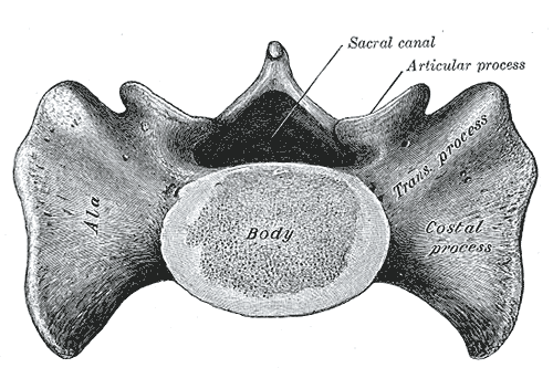 File:Gray98.png