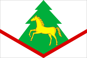 File:Flag of Brasovsky district.png
