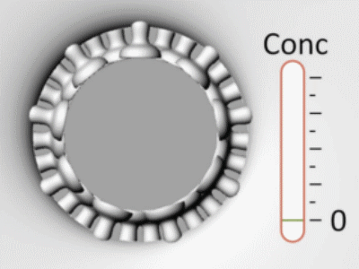 File:Biosensor Channel.gif