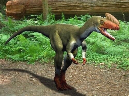 File:Proceratosaurus NT.jpg