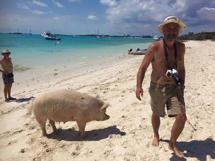 File:PigBeachTourists.jpg