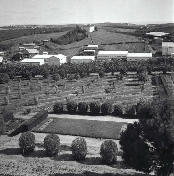 File:משק הפועלות בעינות-JNF000835.jpeg