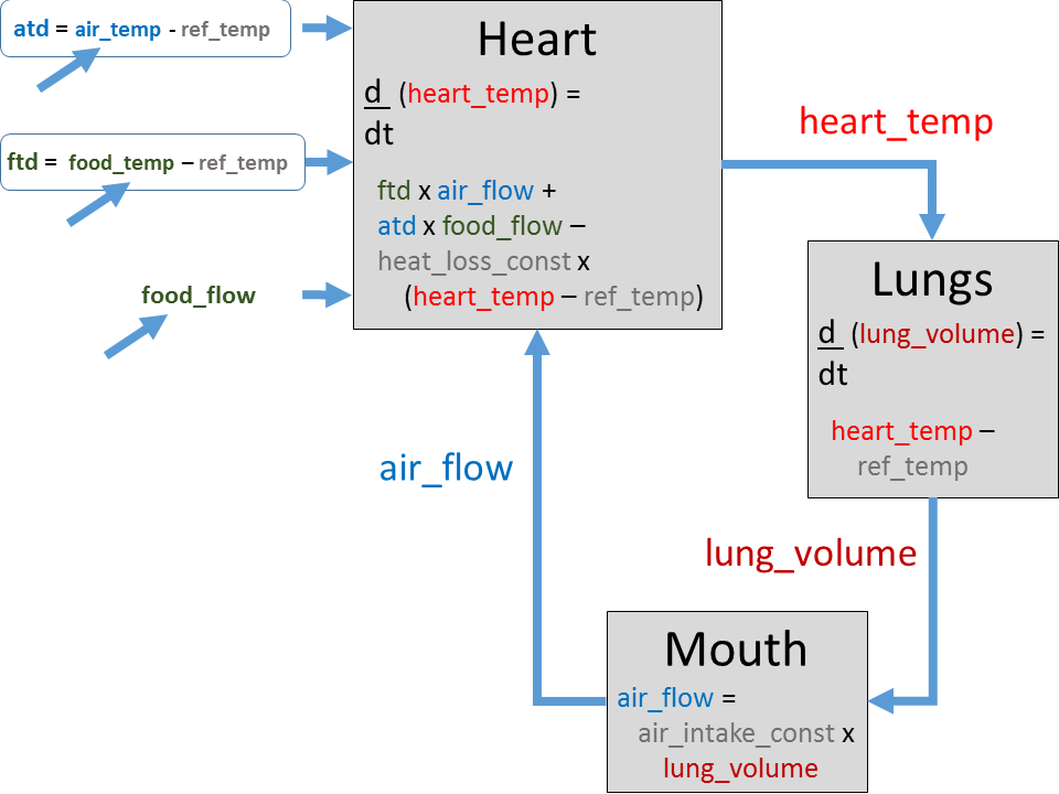 File:Aristotle's heart temperature model.png