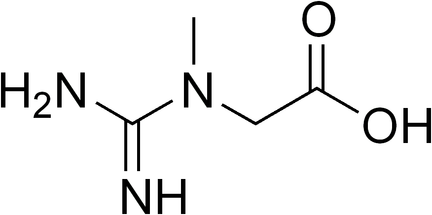 File:Creatine neutral.png