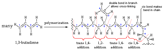 File:1,3-Butadiene Polymerization.PNG