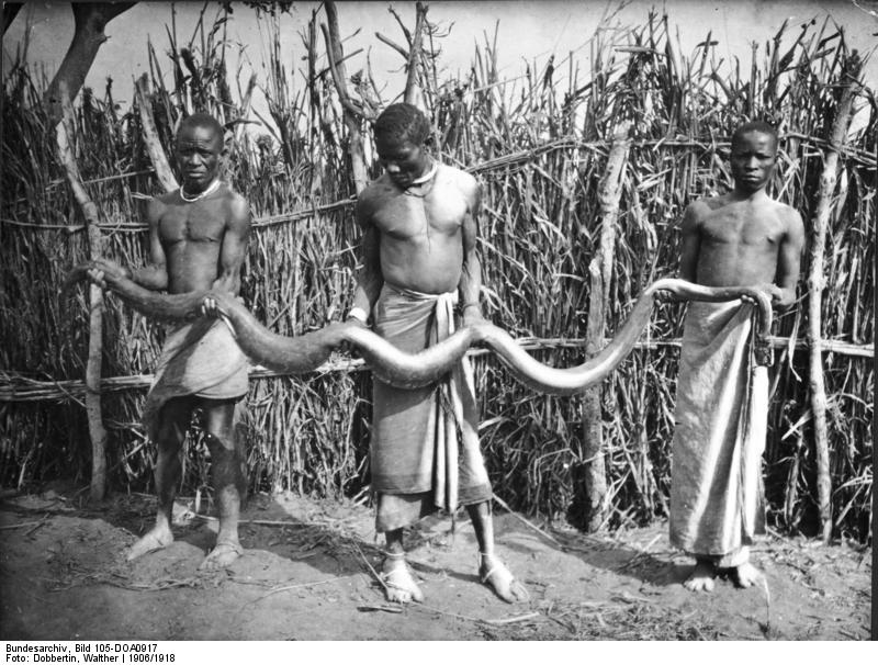 File:Bundesarchiv Bild 105-DOA0917, Deutsch-Ostafrika, Riesenschlange.jpg