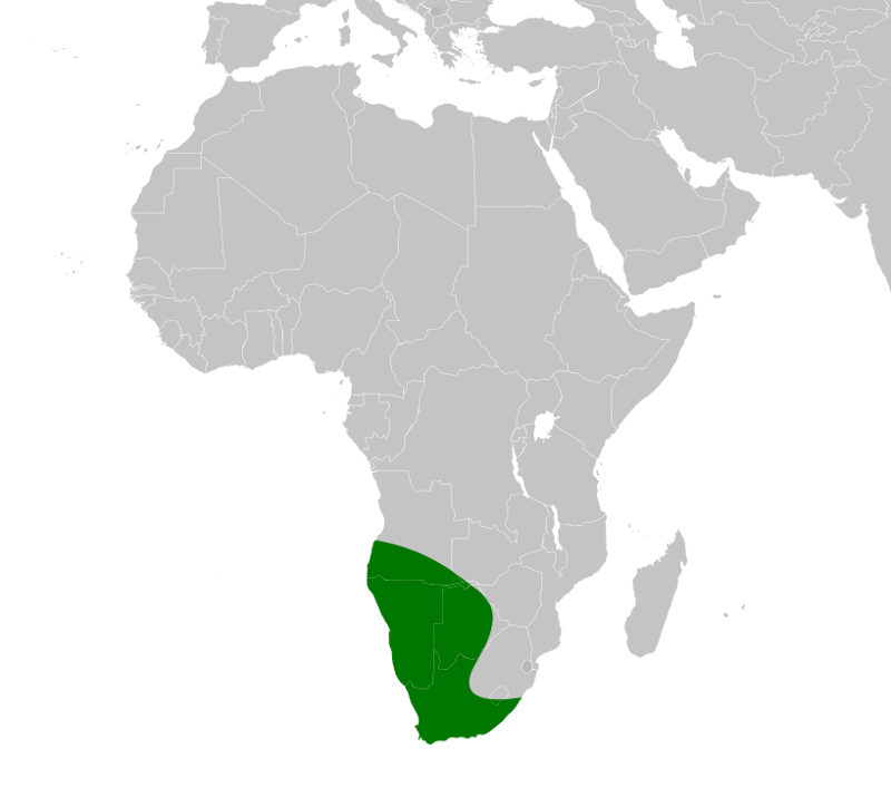 File:Naja nigricincta distribution range.png