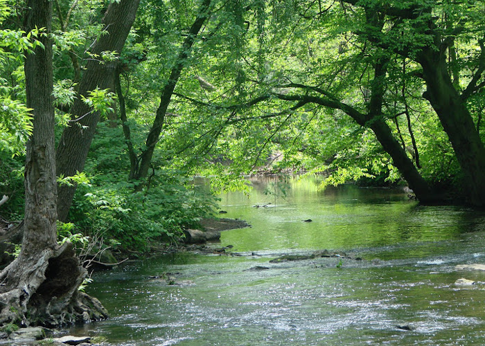 File:Site23now.jpg
