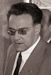 File:Hasan brkic cropped.png