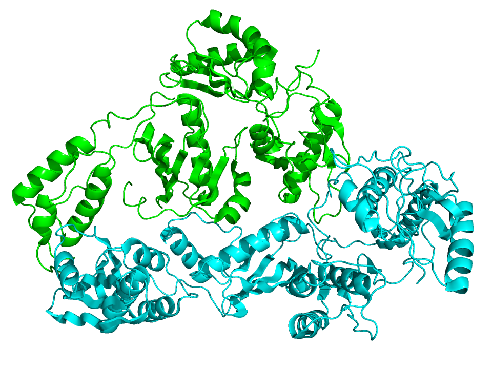 File:Reverse Transcriptase 1HMV.png