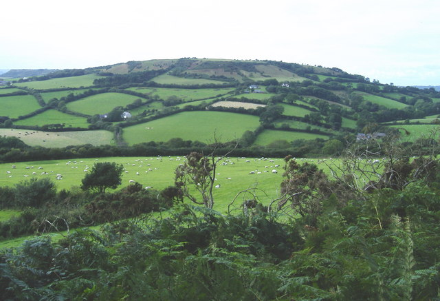 File:Chardown Hill - geograph.org.uk - 1454478.jpg
