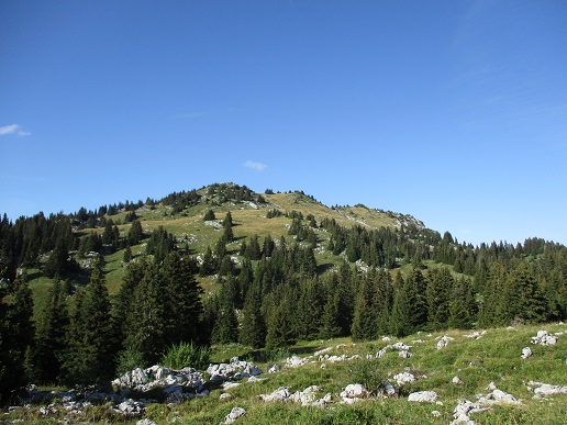 File:Pointe d'ireuse.jpg