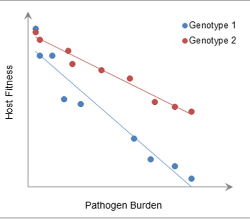 File:Sample reaction norm graphic.jpg