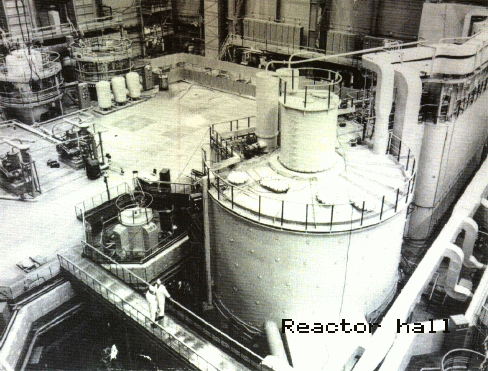 File:Shevchenko BN350.gif