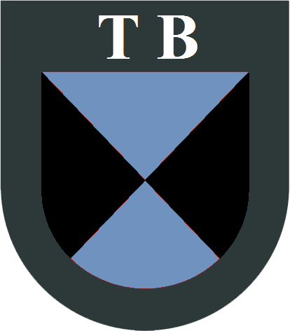 File:Terek cossacks patch.png