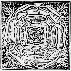 File:Bacon's Rose.gif