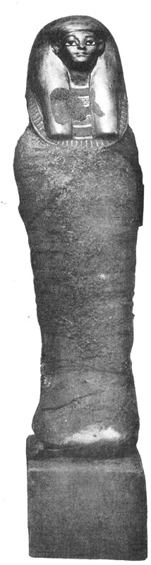 File:Entrail.JPG