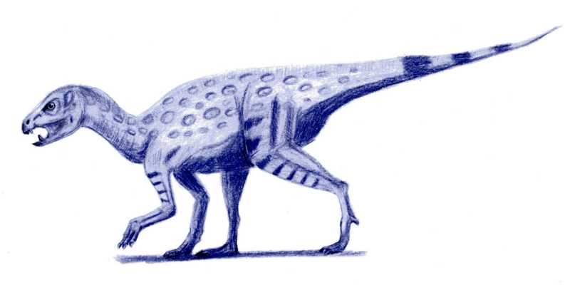 File:Heterodontosaurus.jpg