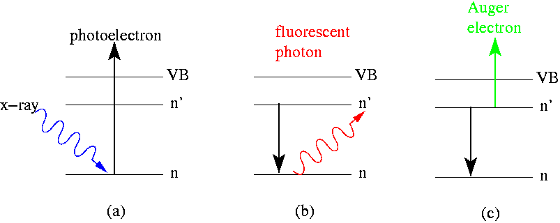 File:Photoabsorb.png