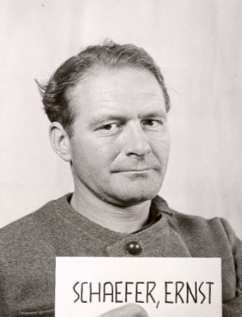 File:Schaefer Ernst (SS).jpg