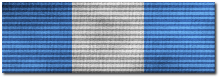 File:Exceptional Newcomer Ribbon.png
