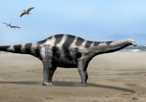 File:Demandasaurus NT.jpg