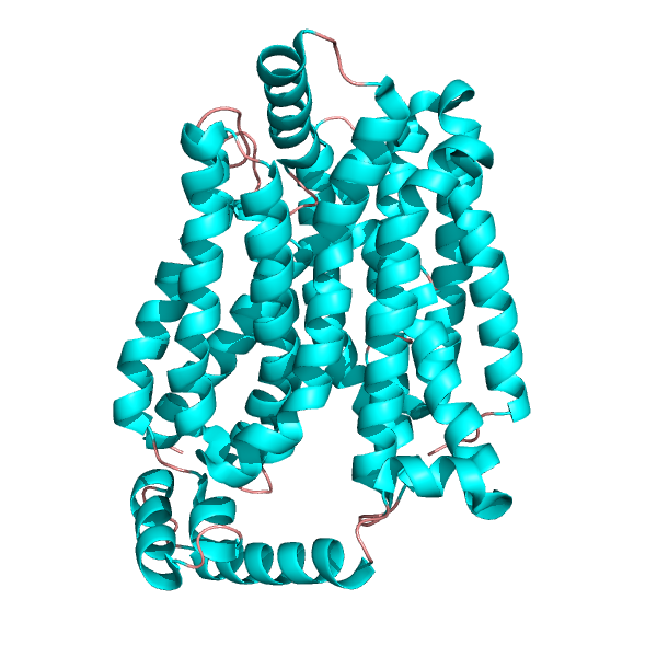 File:4pyp glut1.png