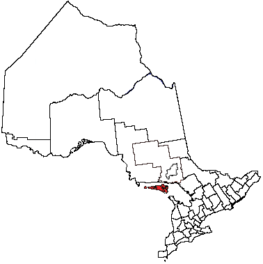 File:Ontmanid.png