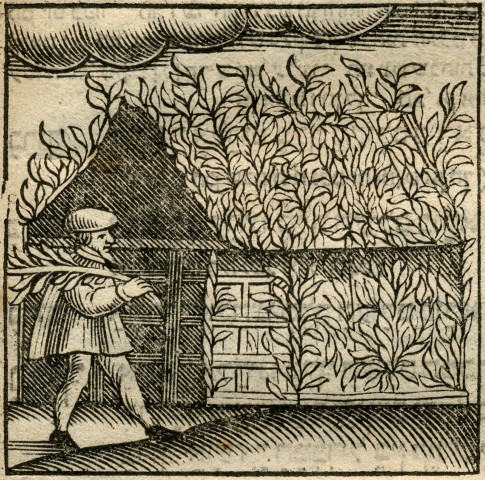 File:Sukkot customs.jpg