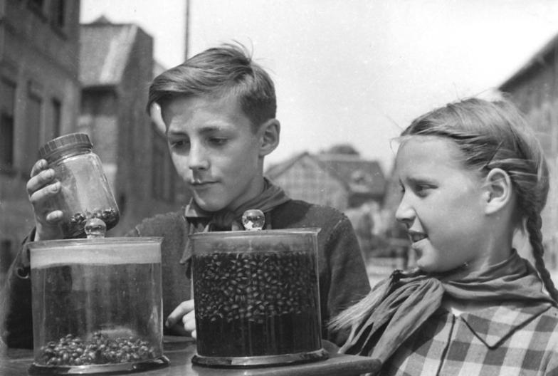 File:Bundesarchiv Bild 183-15032-0001, Vahldorf, Gesammelte Kartoffelkäfer.jpg