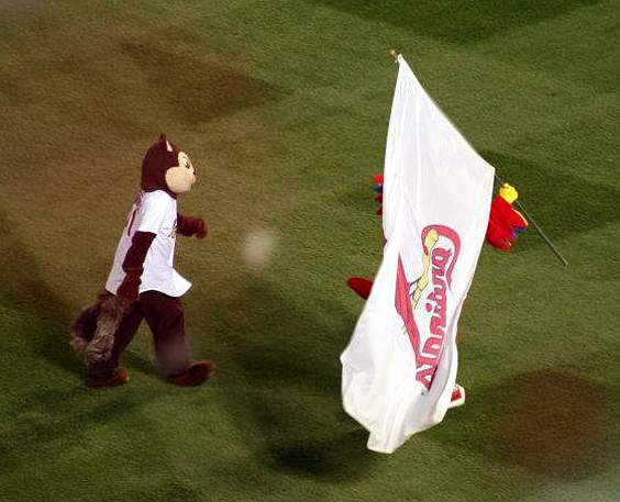 File:Rally-Squirrel-4.jpg