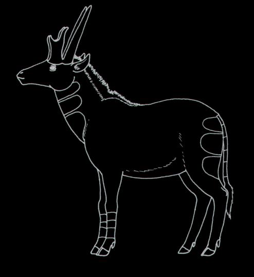 File:Hayoceros.jpg