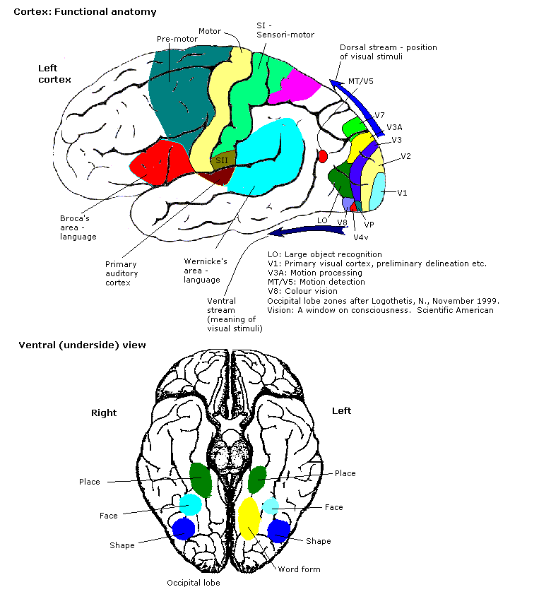 File:Constudproc.png