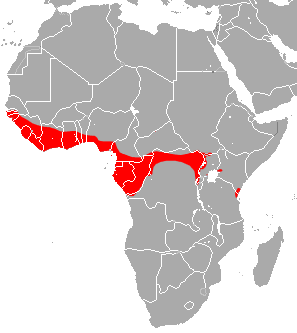File:Cyclops roundleaf bat range.png